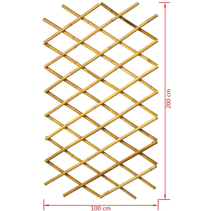 Nature Latwerk voor tuin 100x200 cm bamboe 6040722