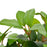 Kunstplant met pot laurierboom 40 cm groen