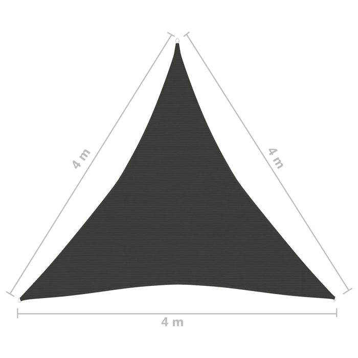 Zonnezeil 160 g/m² 4x4x4 m HDPE antracietkleurig