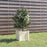 Plantenbak 31x31x31 cm massief grenenhout wit
