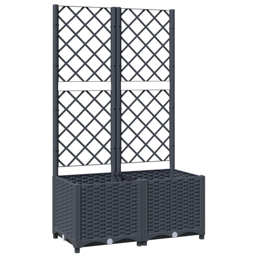 Plantenbak met latwerk 80x40x136 cm polypropeen donkergrijs