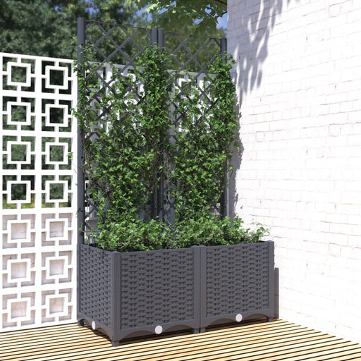 Plantenbak met latwerk 80x40x136 cm polypropeen donkergrijs