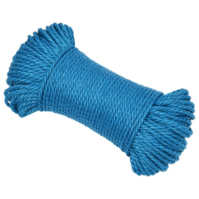 Werktouw 6 mm 25 m polypropeen blauw