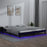 Bedframe LED massief hout zwart 150x200 cm 5FT King Size